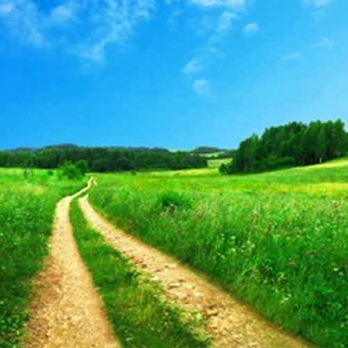 Le chemin de la libération