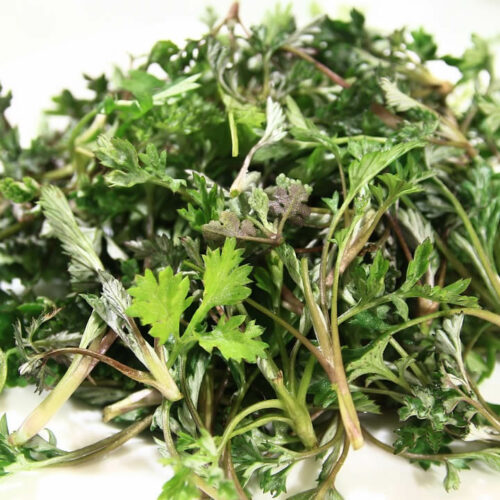 L'Armoise commune de nos régions