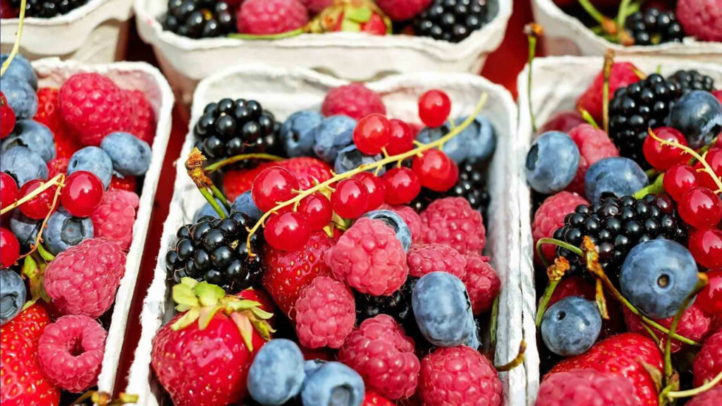 Votre alimentation en vacances