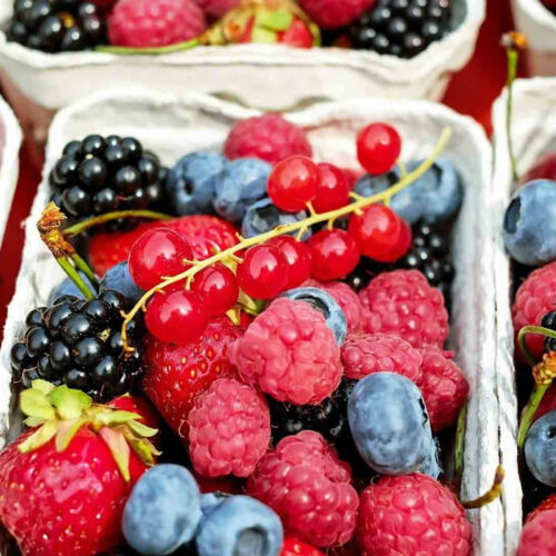 Votre alimentation en vacances