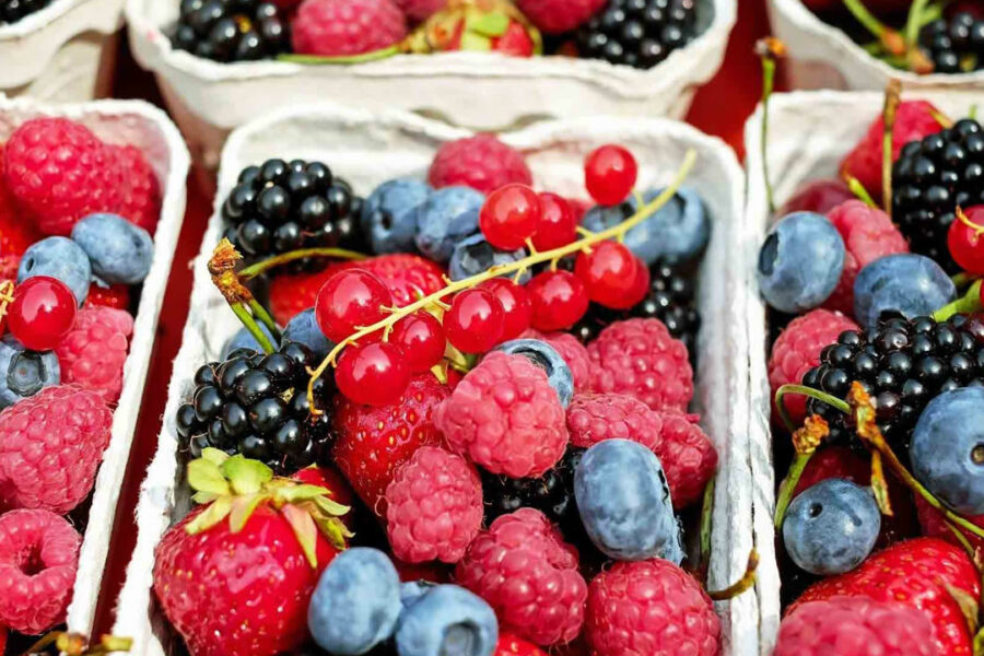 Votre alimentation en vacances