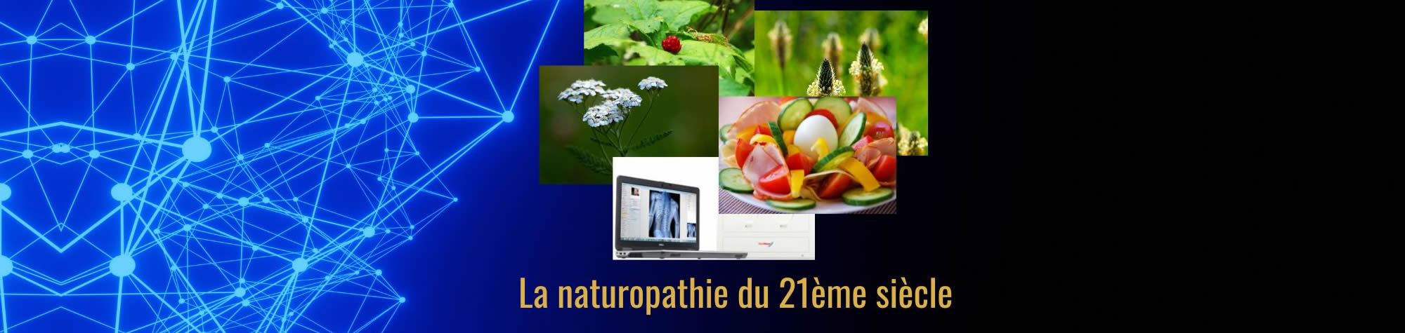 Naturopathie du 21ème siècle