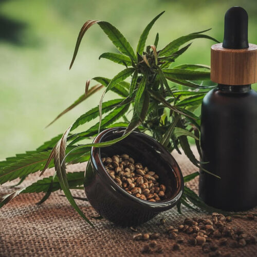 le-chanvre-un-atout-pour-lavenir