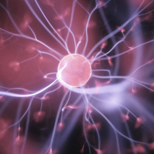 neurotransmetteurs gaba et acetylcholine
