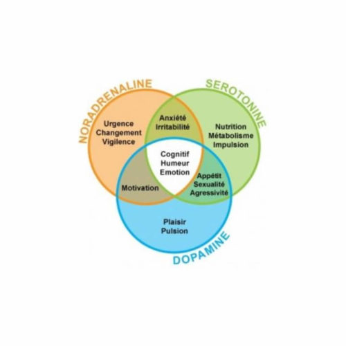 neurotransmetteurs serotonine et adrenaline