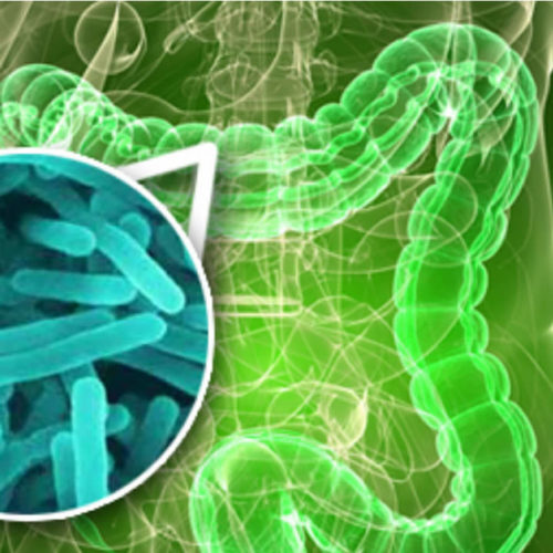 proliferations bacteriennes